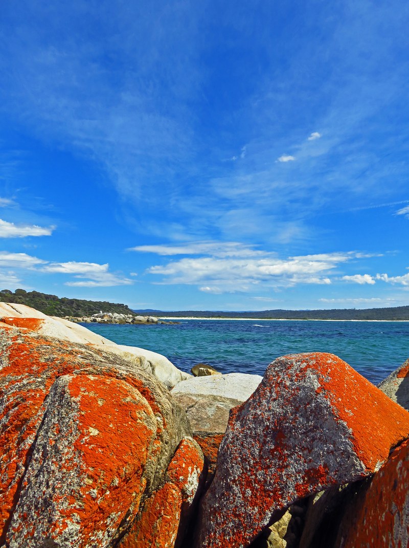 burns beach bay of fires tasmania_ 4k