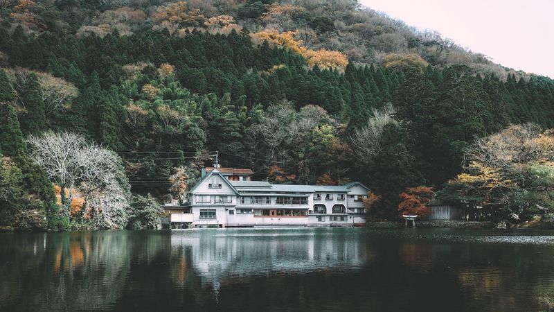 house, lake, shore, hill, trees, 4k