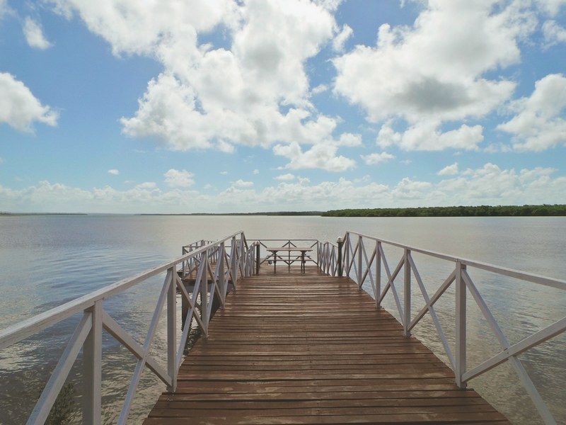brazil brasil natureza and nature 4k
