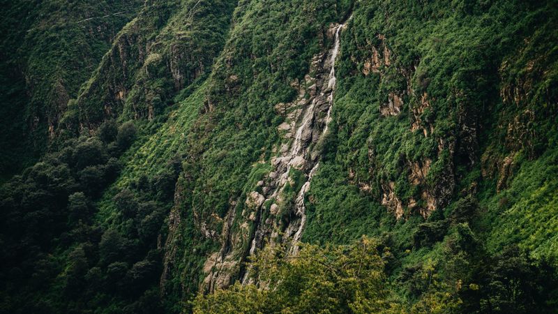 slope, cliff, trees, green, stones, 4k