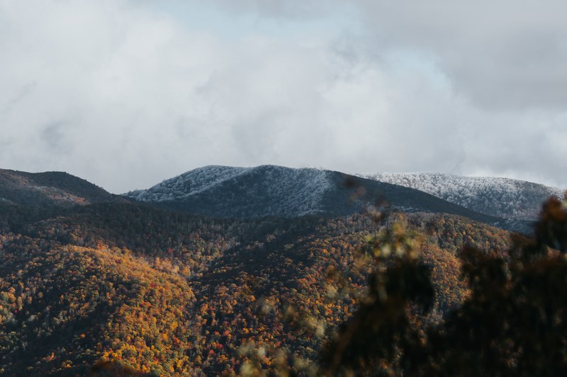when snow meets fall 4k