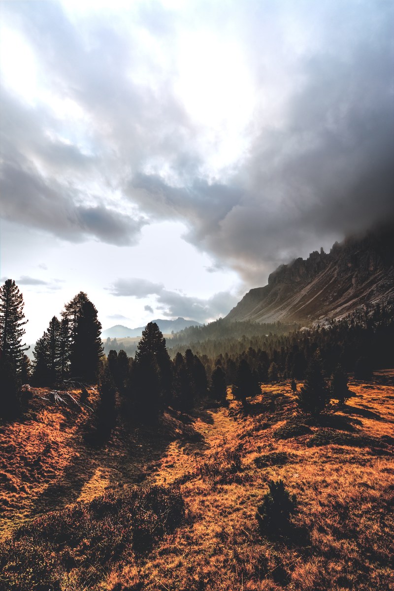 autumnal sun power 4k