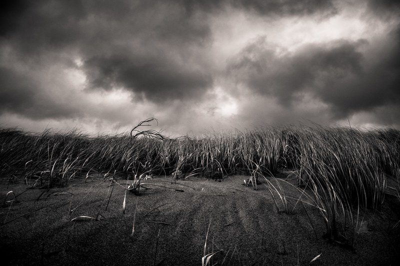 storms do come 4k