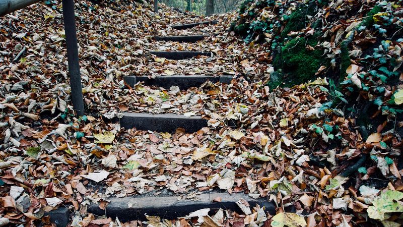 autumn, foliage, stairs, 4k