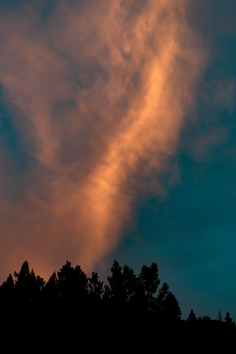 cloud tree silhouette sky and tree hd, 4k