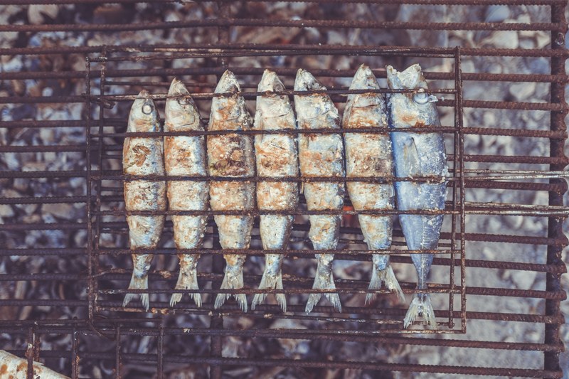 fish grilling over open coals while camping, grilling fish 4k