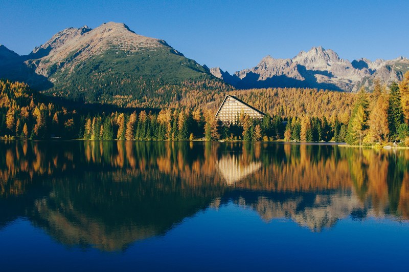 a scenic mountainous landscape with yellow and green pine trees and triangular overlooking a lake, mountain lake 4k