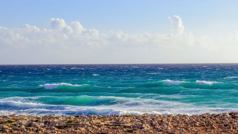 sea, ocean, shore, foam, 4k
