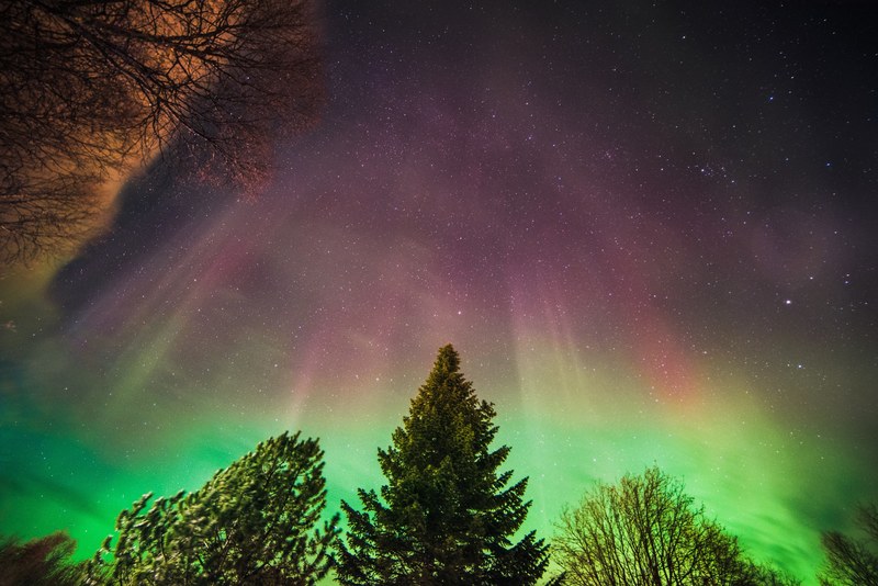 aurora boreali northern light norway and forest 4k