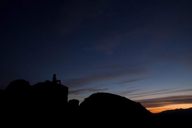 dreaming in joshua tree 4k