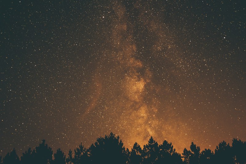 the milky way rises above the silhouette of trees in the golden starry night, _golden night milky way 4k