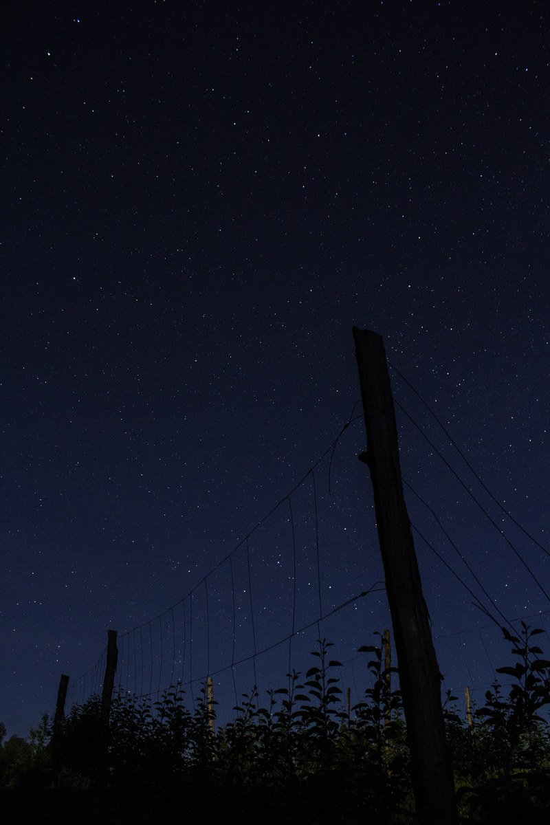 night sky star and night sky hd, 4k