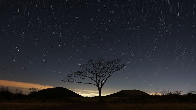 starry sky, tree, sky, night, 4k