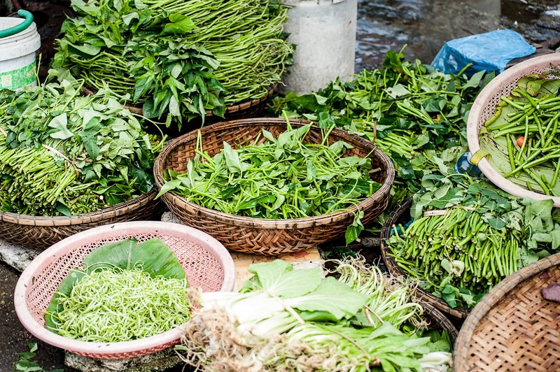 green basket herb and vegetable 4k