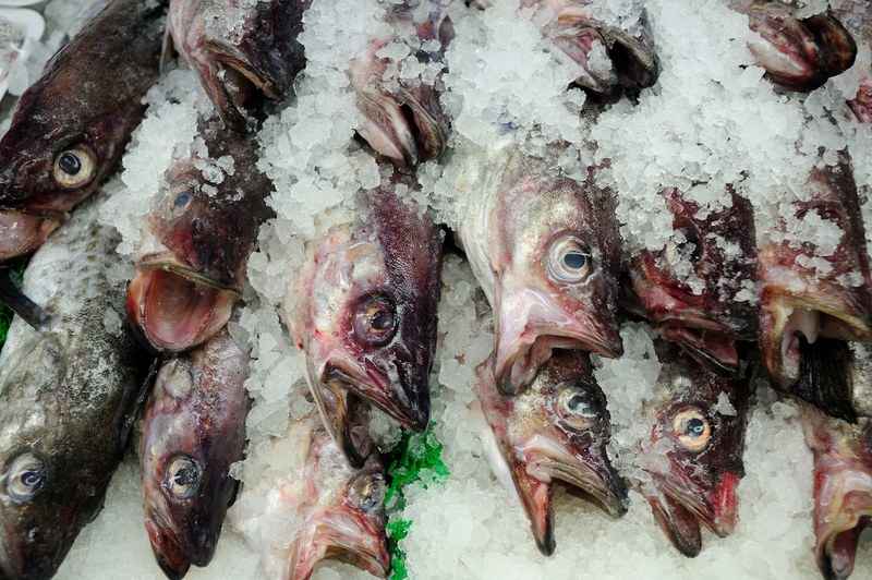dead fish packed in ice, frozen fish market 4k