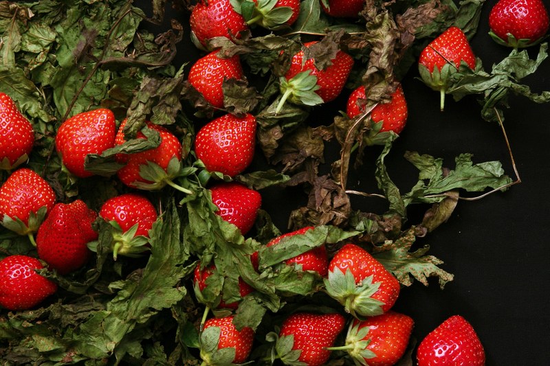 berry xma decoration and tree 4k