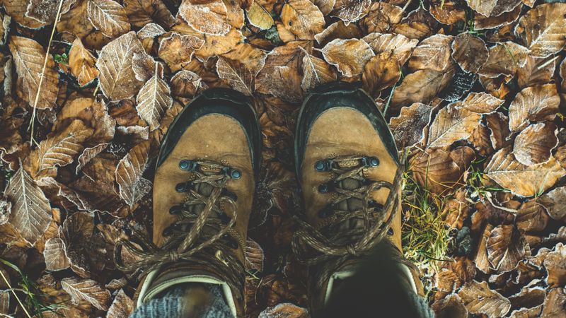 shoes, autumn, legs, foliage, 4k