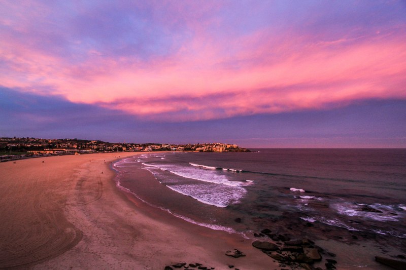 pink purple australium and sydney 4k