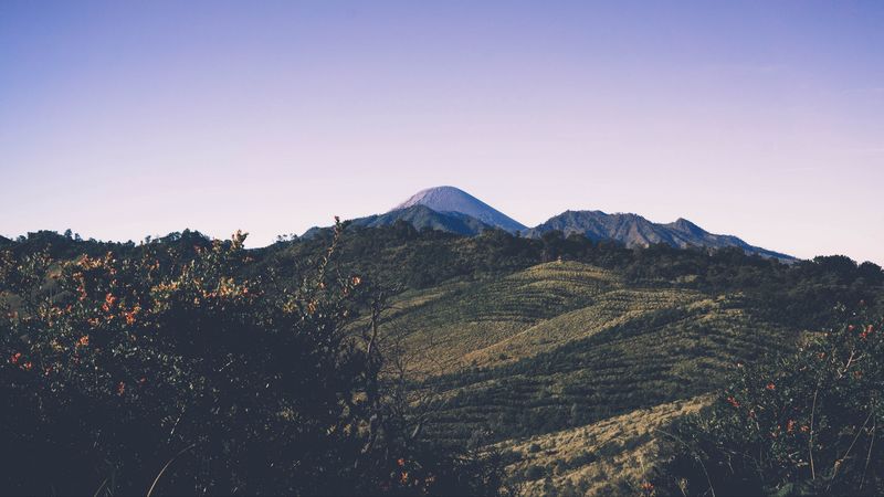 mountains, trees, grass, sky, 4k