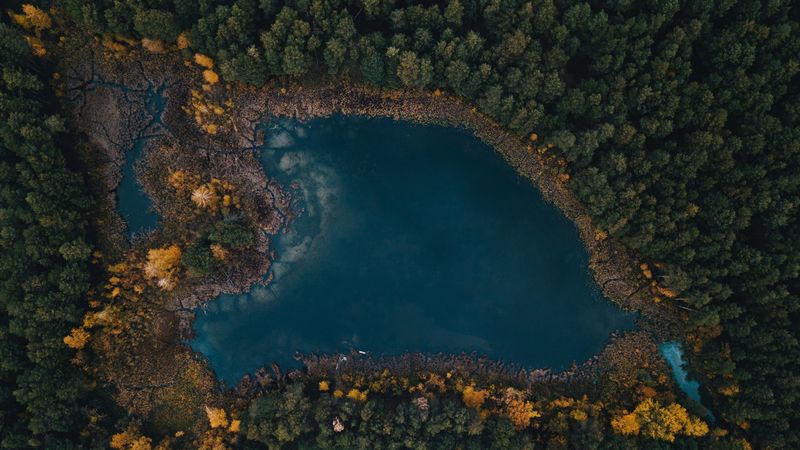 lake, trees, top view, 4k