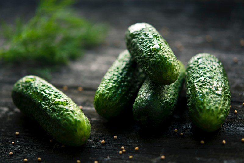 kitchen cooking dill and pickle 4k