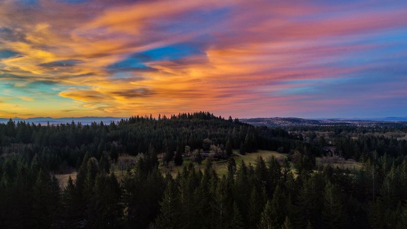 trees, sunset, mountains, 4k