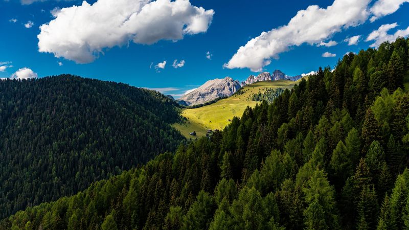 trees, mountains, clouds, summer, 4k