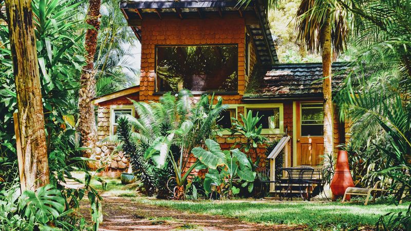 house, palm tree, plants, sunlight, 4k