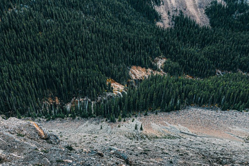 a high angle shot of a vast coniferous forest at the foot of a hill in jasper, coniferous forest near a hill 4k