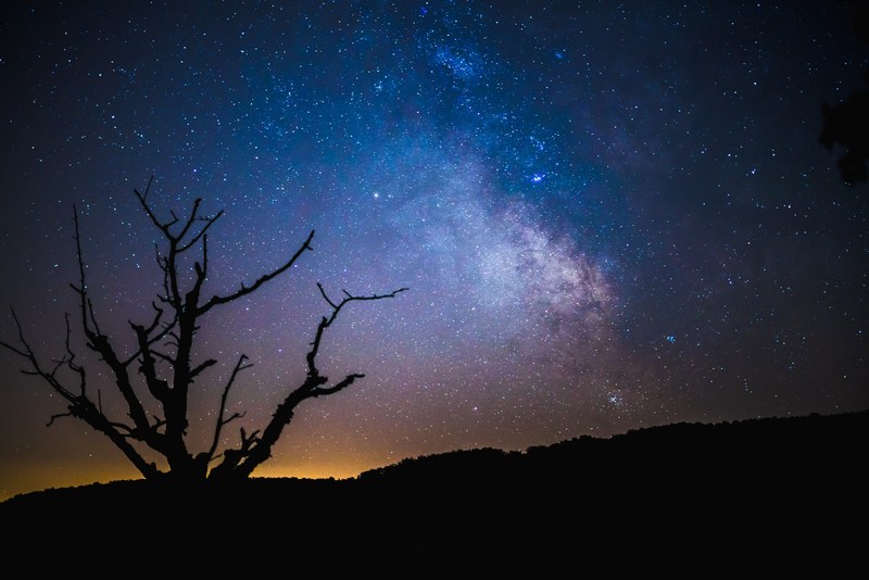 a tree silhouetted against a star studded night sky and the milky way in frenkendorf, _stars milky way frenkendorf 4k