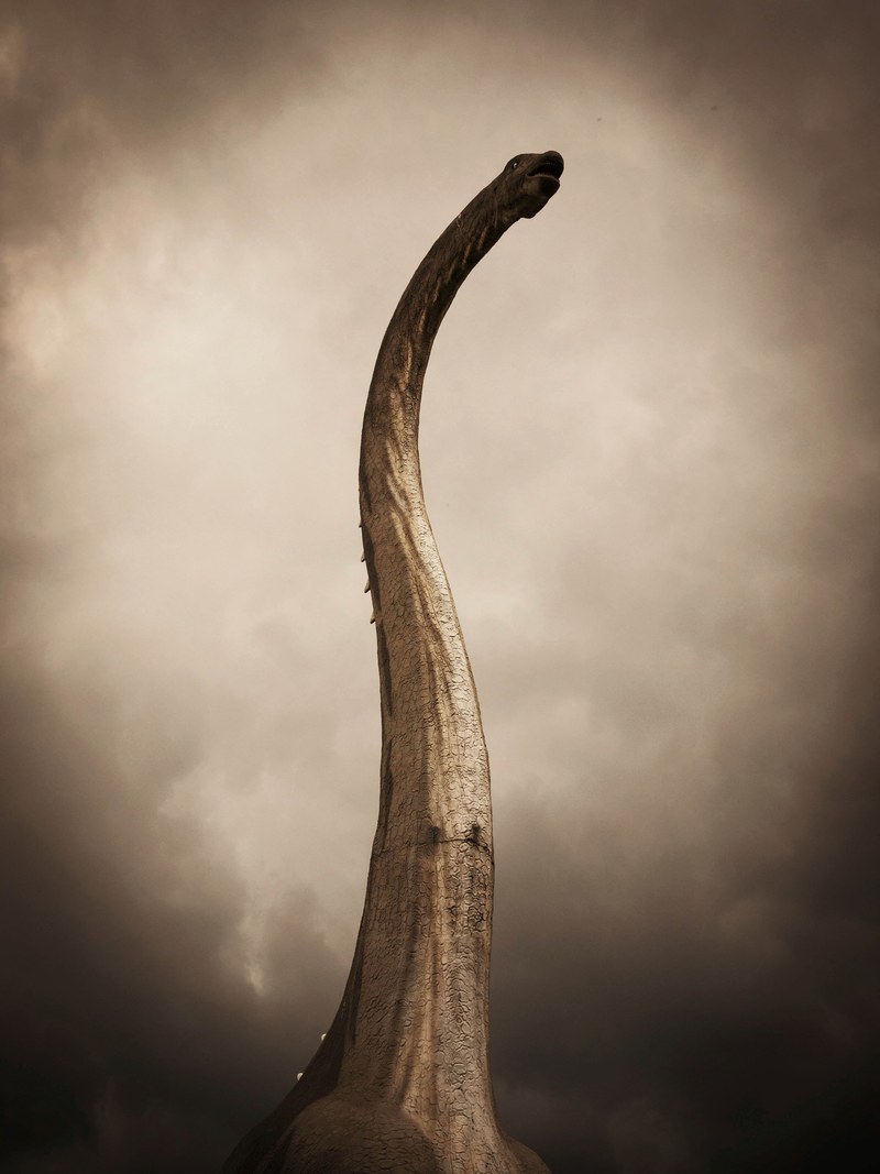 an erected wooden statue, _weird wooden statue 4k