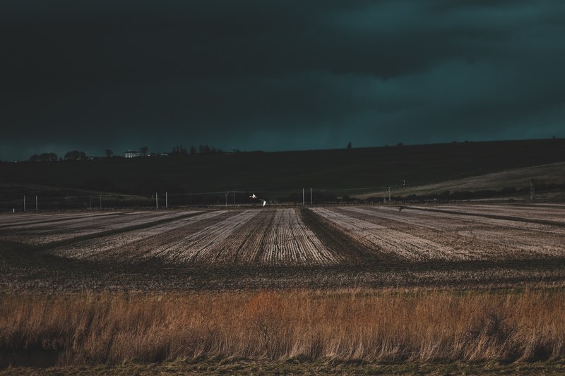 rural field agriculture and winter 4k