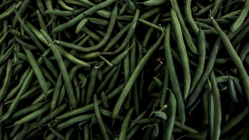 beans, pods, green, 4k