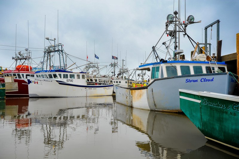 boat pier nautical and sail 4k
