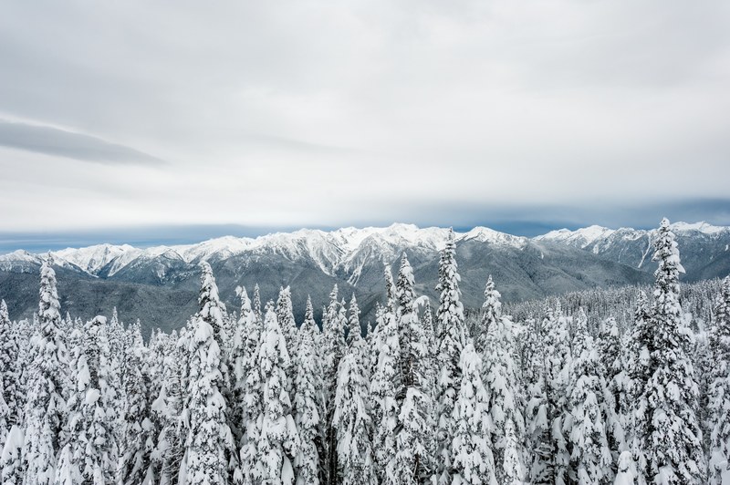 landscape nature washington and pnw 4k