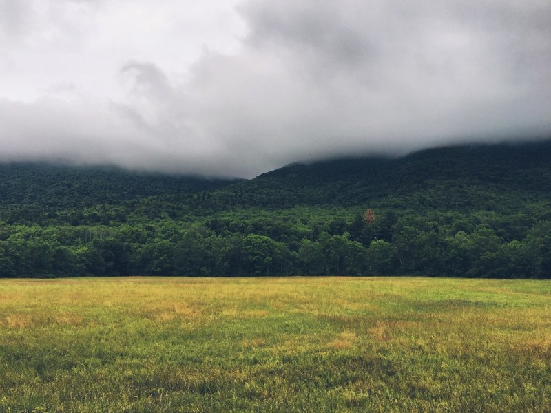 grassland with thick fog hovers over the catskill mountains, fog over catskill mountains 4k