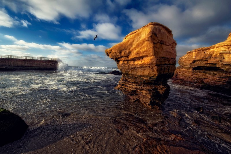 surfer surf beach and oceab beach 4k