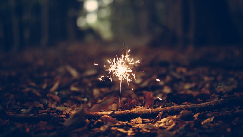 bengal fire, foliage, sparks, 4k