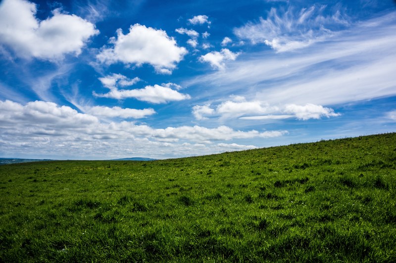outdoor tree cloud and field 4k