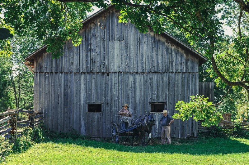 wagon horse farmer and farm 4k