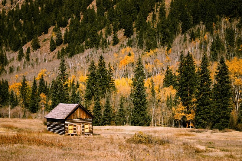 a lone log cabin at the foot of a wooded mountain, log cabin in woods 4k