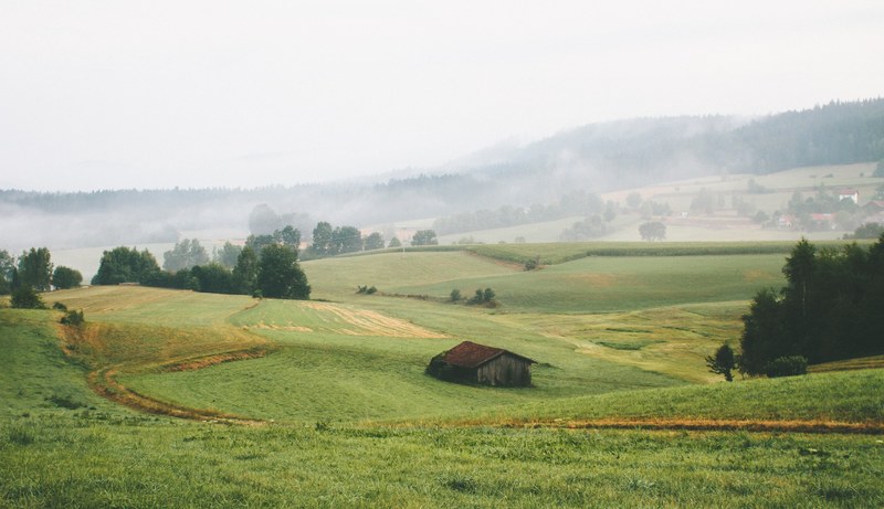 an old barn in a green field with mist obscuring the forest in the distance, old barn in a misty field 4k