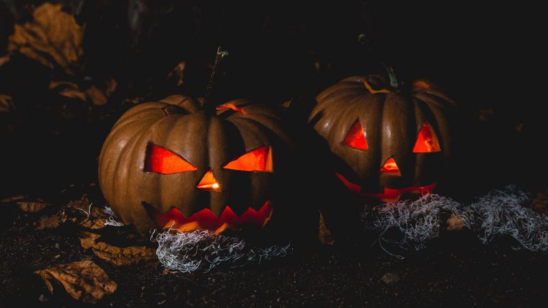 halloween, pumpkin, dark, 4k