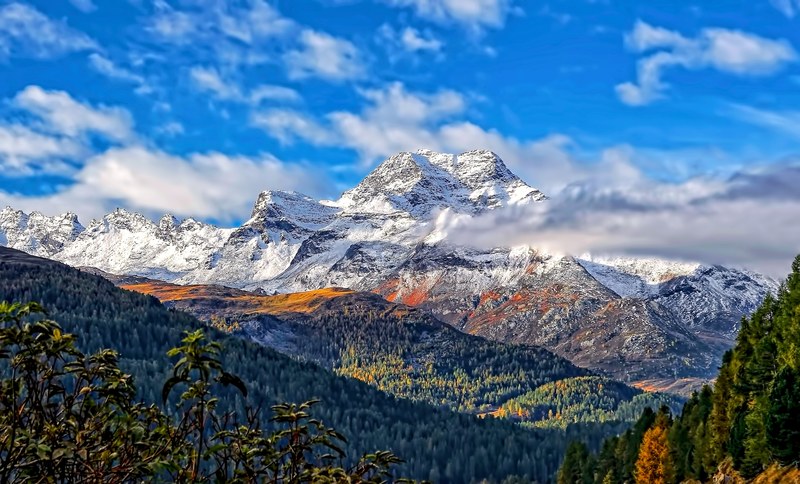 wonderful nature 4k