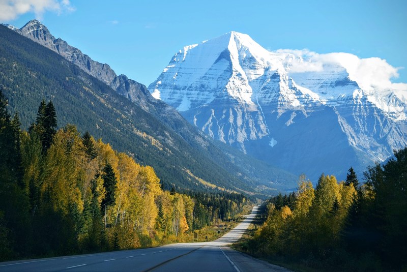 a road leading towards a snow covered mountain peaks surrounded by lush green forest and trees in mount robson, _snow covered mountains in mount robson 4k