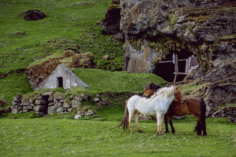 two horses standing close to each other near a structure built of stone and an entrance to a cave, white and brown horses near a cave 4k