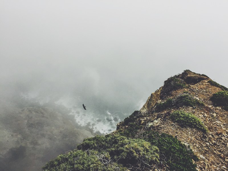 bird soars over coastal bluffs on a foggy day, foggy bluffs 4k