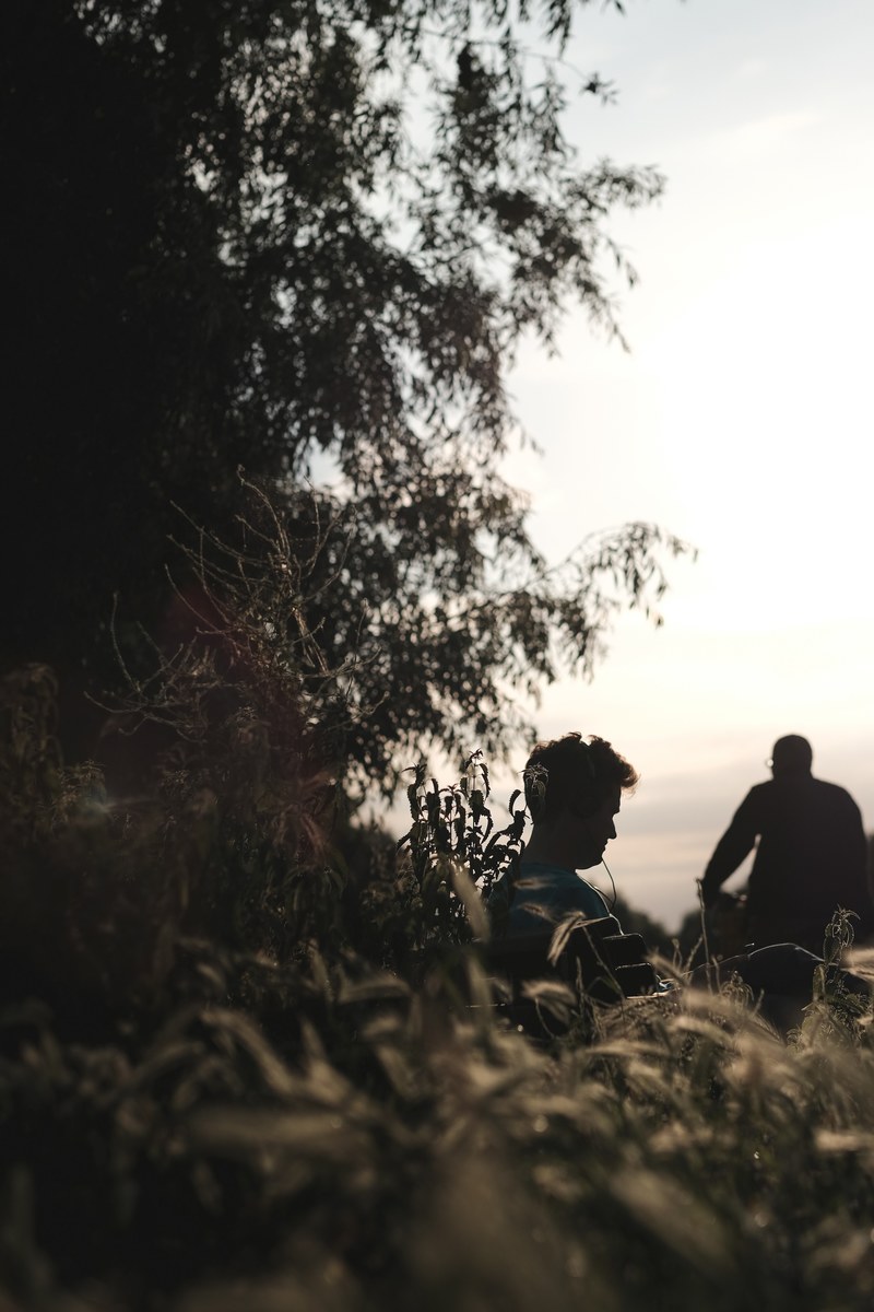 two men in silhouette sit in a field underneath a tree against a peaceful sunny sky, men underneath tree 4k