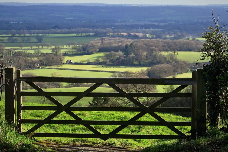 field explore england and green 4k