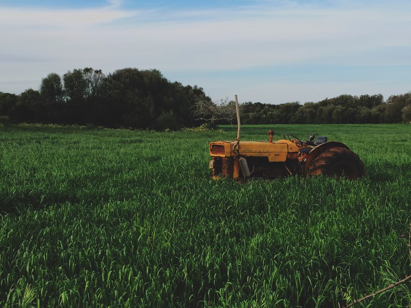 an old tractor in the middle of a green field, farm tractor 4k